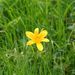 20060819_hakubatrip_038